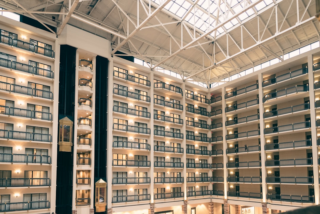 My Journey to Mastering the Art of Booking a Hotel