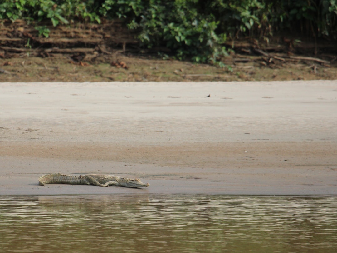 My Journey with Sustainable Tourism: Lessons Learned and Challenges Faced